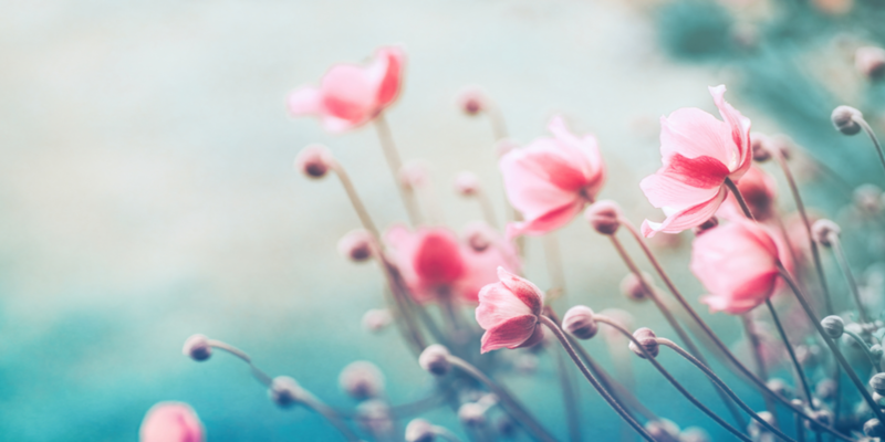 GS_Frühling